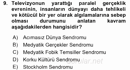 Suç Sosyolojisi 2017 - 2018 3 Ders Sınavı 9.Soru