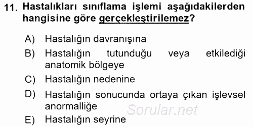 Sağlık Kurumlarında Bilgi Sistemleri 2017 - 2018 Ara Sınavı 11.Soru