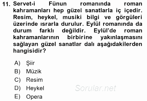 II. Abdülhamit Dönemi Türk Edebiyatı 2015 - 2016 Dönem Sonu Sınavı 11.Soru