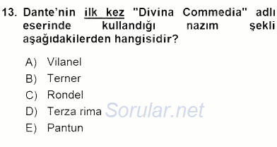 Yeni Türk Edebiyatına Giriş 2 2015 - 2016 Ara Sınavı 13.Soru