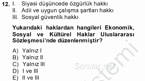 Uluslararası Sosyal Politika 2013 - 2014 Dönem Sonu Sınavı 12.Soru