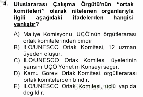 Uluslararası Sosyal Politika 2013 - 2014 Dönem Sonu Sınavı 4.Soru