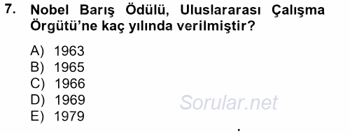 Uluslararası Sosyal Politika 2013 - 2014 Dönem Sonu Sınavı 7.Soru