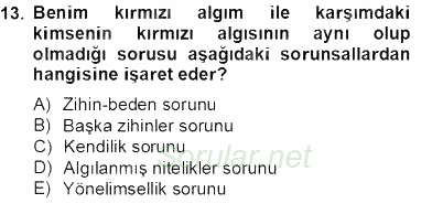 Zihin Felsefesi 2013 - 2014 Tek Ders Sınavı 13.Soru