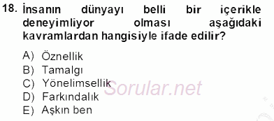 Zihin Felsefesi 2013 - 2014 Tek Ders Sınavı 18.Soru