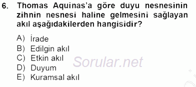 Zihin Felsefesi 2013 - 2014 Tek Ders Sınavı 6.Soru