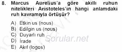 Zihin Felsefesi 2013 - 2014 Tek Ders Sınavı 8.Soru