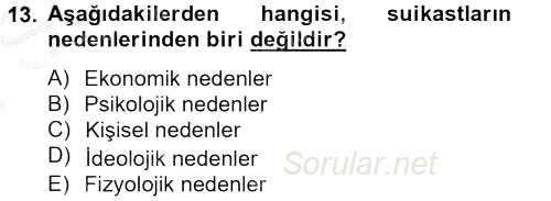 Özel Güvenlik Hizmetlerinde Güvenlik Önlemleri 2012 - 2013 Dönem Sonu Sınavı 13.Soru