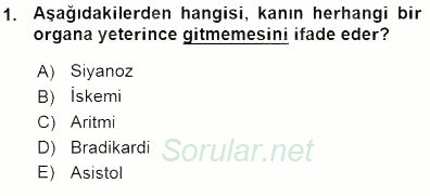 Tıbbi Terminoloji 2015 - 2016 Ara Sınavı 1.Soru