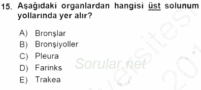 Tıbbi Terminoloji 2015 - 2016 Ara Sınavı 15.Soru