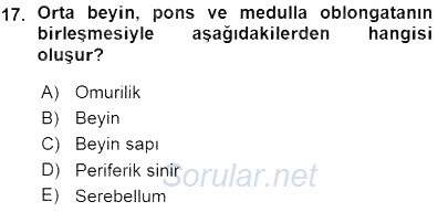 Tıbbi Terminoloji 2015 - 2016 Ara Sınavı 17.Soru