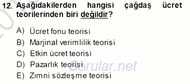 Çalışma Ekonomisi 1 2013 - 2014 Dönem Sonu Sınavı 12.Soru