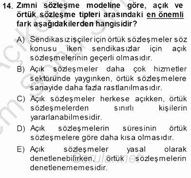 Çalışma Ekonomisi 1 2013 - 2014 Dönem Sonu Sınavı 14.Soru