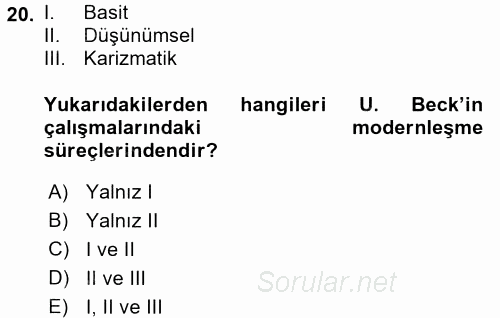 Sosyolojide Yakın Dönem Gelişmeler 2016 - 2017 Ara Sınavı 20.Soru