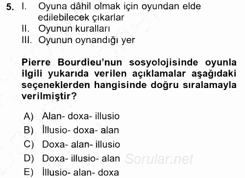 Sosyolojide Yakın Dönem Gelişmeler 2016 - 2017 Ara Sınavı 5.Soru