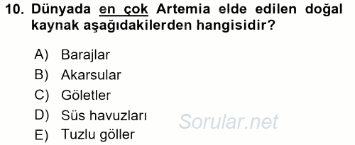 Balık Yetiştiriciliği 2016 - 2017 3 Ders Sınavı 10.Soru