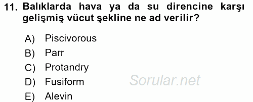 Balık Yetiştiriciliği 2016 - 2017 3 Ders Sınavı 11.Soru