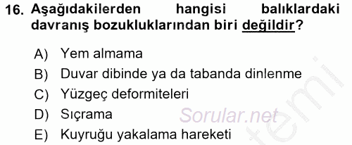 Balık Yetiştiriciliği 2016 - 2017 3 Ders Sınavı 16.Soru