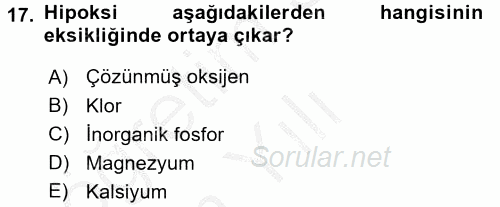 Balık Yetiştiriciliği 2016 - 2017 3 Ders Sınavı 17.Soru