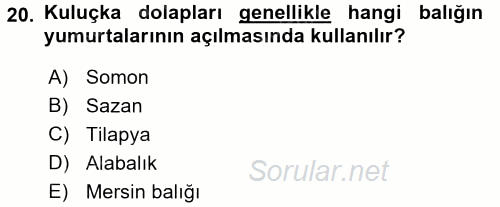 Balık Yetiştiriciliği 2016 - 2017 3 Ders Sınavı 20.Soru