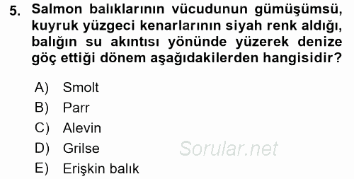 Balık Yetiştiriciliği 2016 - 2017 3 Ders Sınavı 5.Soru