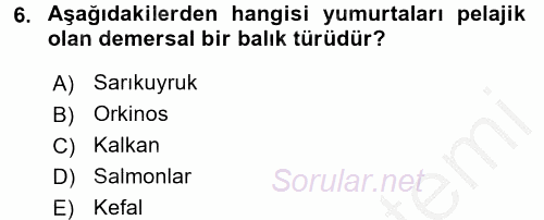 Balık Yetiştiriciliği 2016 - 2017 3 Ders Sınavı 6.Soru