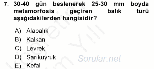 Balık Yetiştiriciliği 2016 - 2017 3 Ders Sınavı 7.Soru