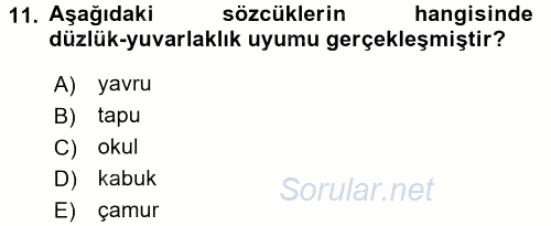 Türkçe Ses Bilgisi 2017 - 2018 Ara Sınavı 11.Soru