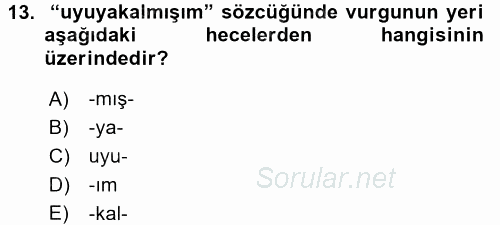Türkçe Ses Bilgisi 2017 - 2018 Ara Sınavı 13.Soru