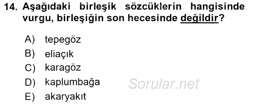 Türkçe Ses Bilgisi 2017 - 2018 Ara Sınavı 14.Soru