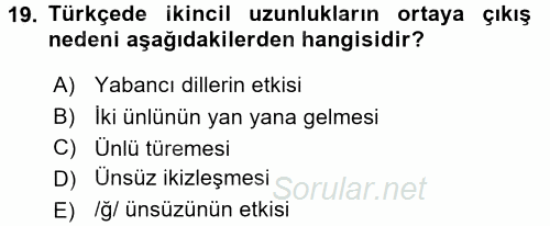 Türkçe Ses Bilgisi 2017 - 2018 Ara Sınavı 19.Soru