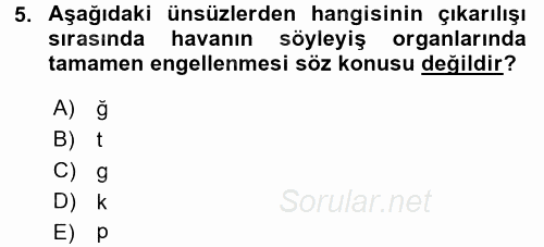 Türkçe Ses Bilgisi 2017 - 2018 Ara Sınavı 5.Soru