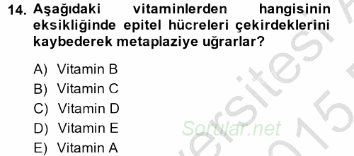 Temel Veteriner Biyokimya 2014 - 2015 Dönem Sonu Sınavı 14.Soru