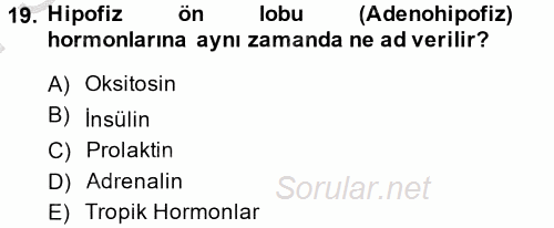 Temel Veteriner Biyokimya 2014 - 2015 Dönem Sonu Sınavı 19.Soru