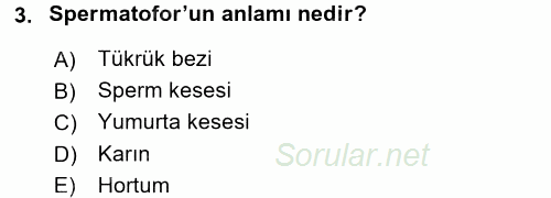 Entomoloji 2016 - 2017 Dönem Sonu Sınavı 3.Soru