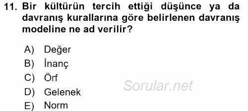 Kültürlerarası İletişim 2015 - 2016 Ara Sınavı 11.Soru