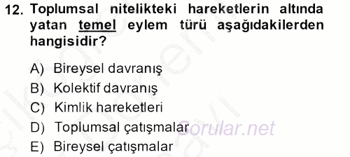 Yeni Toplumsal Hareketler 2014 - 2015 Dönem Sonu Sınavı 12.Soru