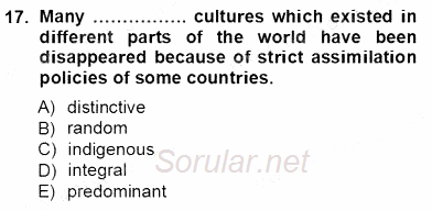 İleri Okuma Ve Yazma Becerileri 1 2012 - 2013 Ara Sınavı 17.Soru