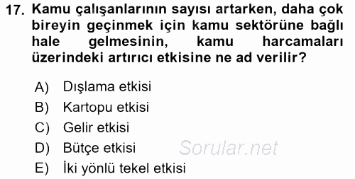 Kamu Ekonomisi 2 2016 - 2017 Ara Sınavı 17.Soru