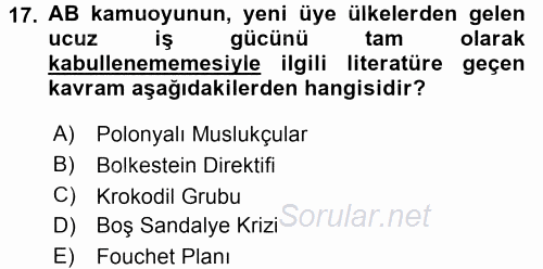 Avrupa Birliği 2015 - 2016 Tek Ders Sınavı 17.Soru