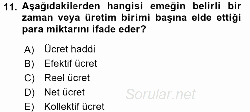 Sosyal Politika 2016 - 2017 Ara Sınavı 11.Soru