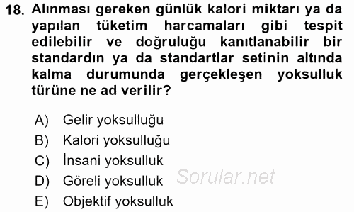 Sosyal Politika 2016 - 2017 Ara Sınavı 18.Soru