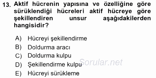İşlem Tabloları 2016 - 2017 Ara Sınavı 13.Soru