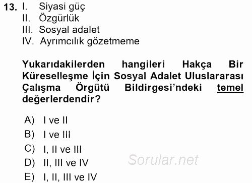 Uluslararası Sosyal Politika 2017 - 2018 3 Ders Sınavı 13.Soru