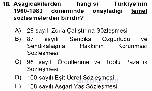 Uluslararası Sosyal Politika 2017 - 2018 3 Ders Sınavı 18.Soru