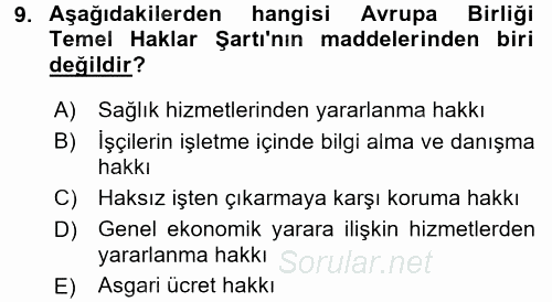 Uluslararası Sosyal Politika 2017 - 2018 3 Ders Sınavı 9.Soru