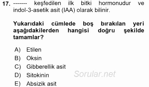 Bahçe Tarımı 1 2017 - 2018 Dönem Sonu Sınavı 17.Soru