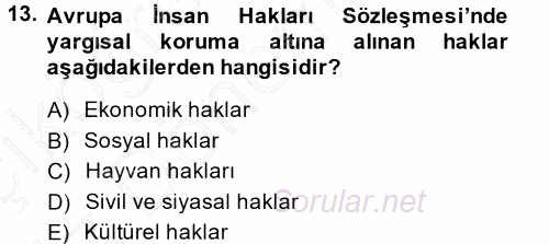 İnsan Hakları ve Demokratikleşme Süreci 2014 - 2015 Ara Sınavı 13.Soru