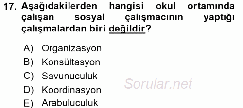 Sosyal Hizmet Uygulamaları 2016 - 2017 Dönem Sonu Sınavı 17.Soru