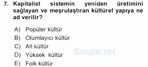 Sosyolojiye Giriş 2015 - 2016 Dönem Sonu Sınavı 7.Soru